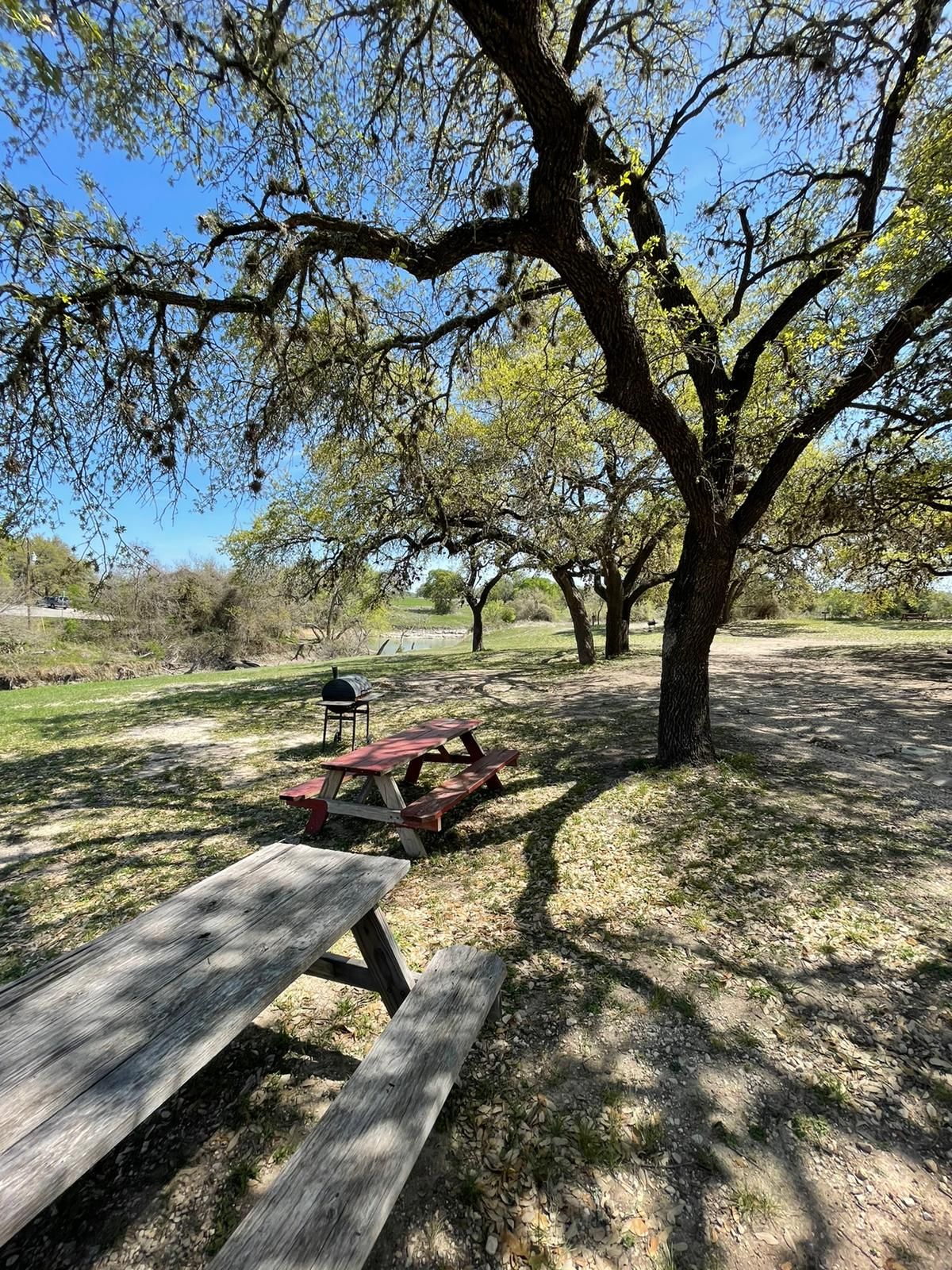 Primitive Tent Camping at Rebecca Creek